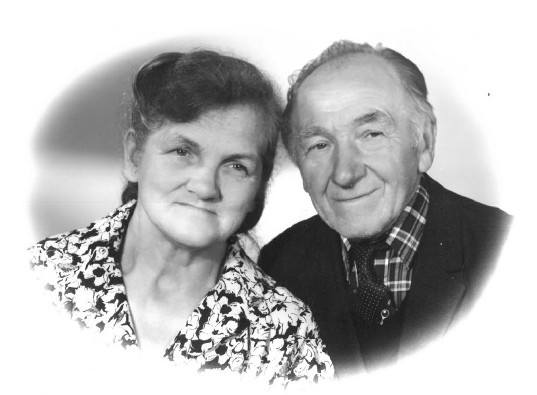 Josefky Daňkové